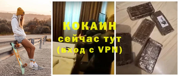PSILOCYBIN Ельня