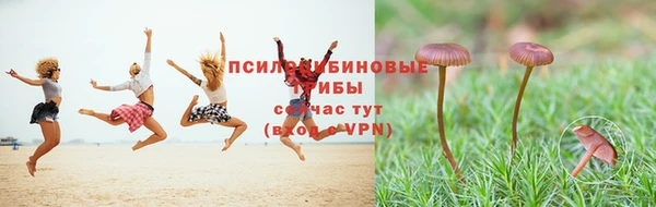 марки lsd Заводоуковск