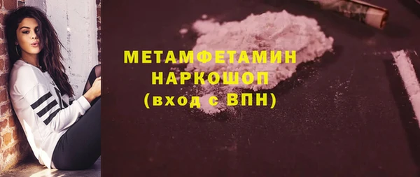 PSILOCYBIN Ельня