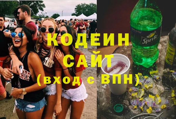 PSILOCYBIN Ельня