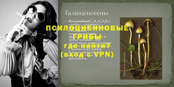 молекула духа Заволжье