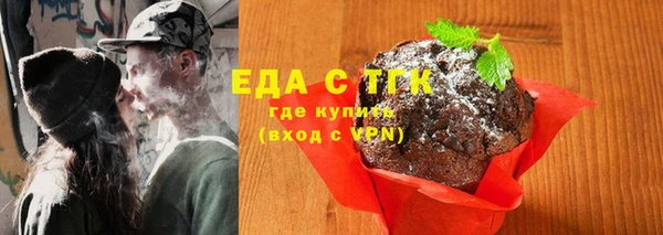 PSILOCYBIN Ельня