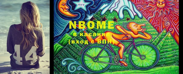 PSILOCYBIN Ельня