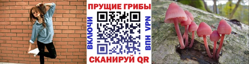 Купить  Цимлянск  Галлюциногенные грибы прущие грибы 