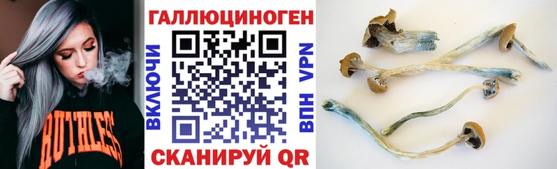 Псилоцибиновые грибы GOLDEN TEACHER Цимлянск